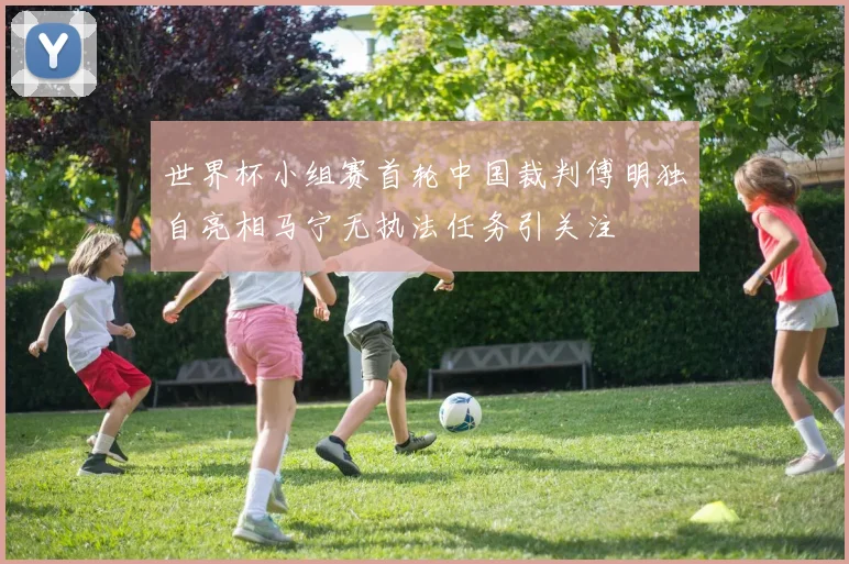 世界杯小组赛首轮中国裁判傅明独自亮相马宁无执法任务引关注